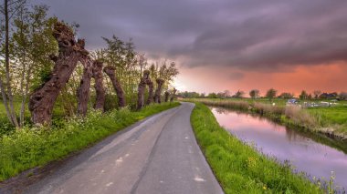 Polder Countryside Landscape in Groningen Province, Netherlands. With River, Road, Riverbank and Pollard Willows at sunset.