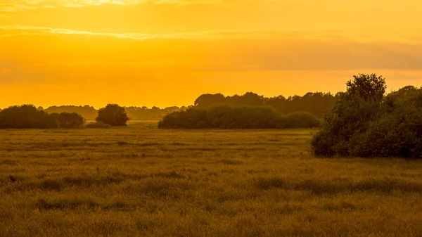 Oranje Sillhouet Zonsondergang Boven Grasland Riviervallei Bezaaid Met Struiken Van — Stockfoto