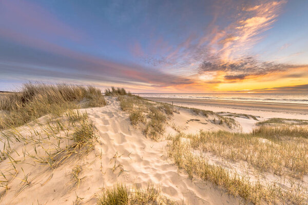 Beach and dunes Dutch coastline landscape seen from Wijk aan Zee over the North Sea at sunset, Netherlands