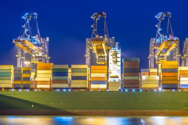 Konteyner gemisi otomatik Harbor terminal Maasvlakte Europoort bağlantı noktası Rotterdam, Hollanda boşaltma