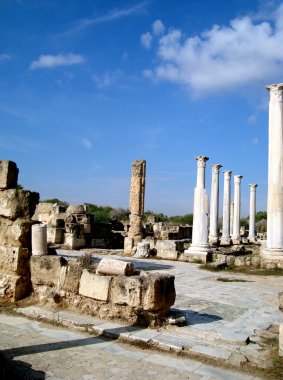 Kıbrıs. salamis antik kenti.