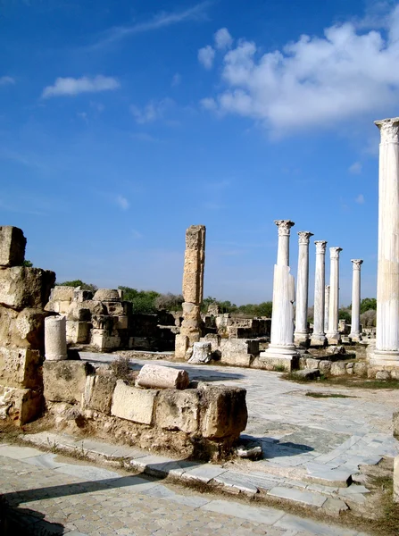 Cypern. den antika staden Salamis. Stockfoto