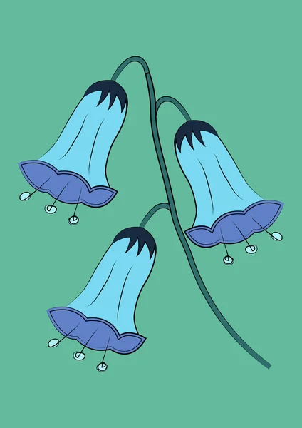 Modrý zvonek květiny, pohlednice — Stockový vektor
