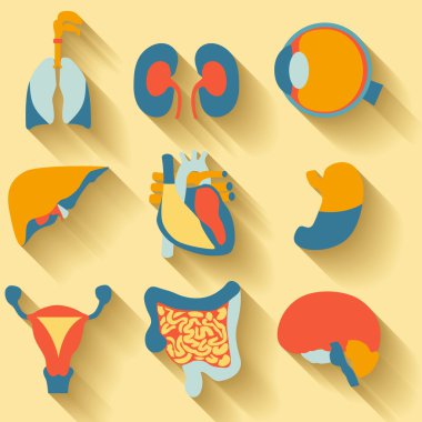 tıbbi Tema, insan organları için düz tasarım simgeler