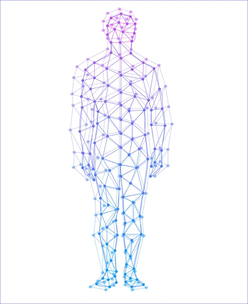 Modello astratto dell'uomo con punti e linee. Sfondo vettoriale — Vettoriale Stock