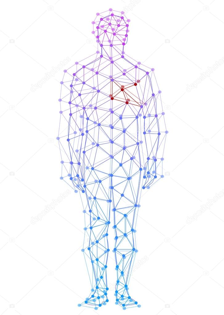 Abstract model of man with points and lines. Vector background