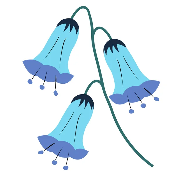 Arreglo floral, bluebell sobre el fondo blanco — Vector de stock