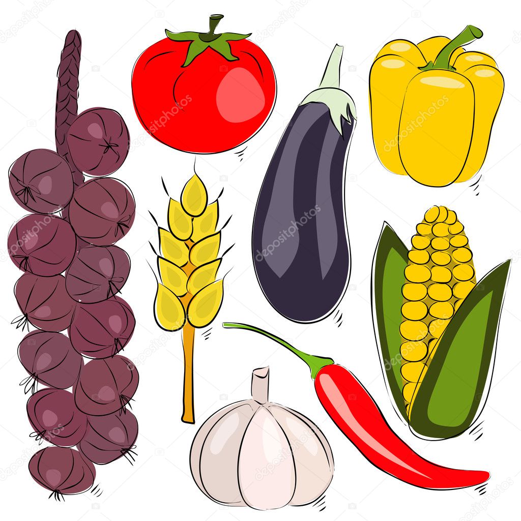 Assorted vegetable vector illustration. Hand drawing sketch