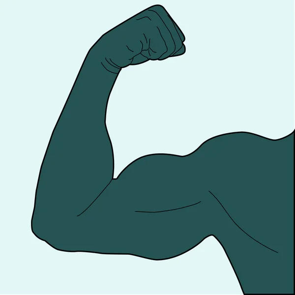 Bíceps — Vector de stock