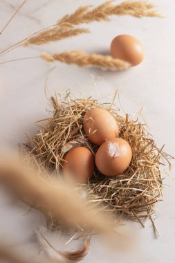 Saman yuvasında taze kahverengi tavuk yumurtası. Sağlıklı yumurta kavramları