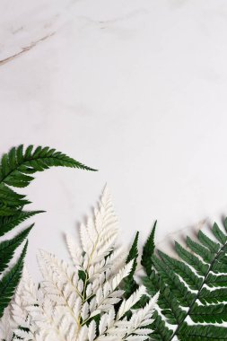 Mermer zemin üzerinde yeşil ve beyaz eğreltiotu ve metin için yeri olan güzel bir bitki örtüsü. Uzayı kopyala Üst Manzara. Yumuşak arkaplan.