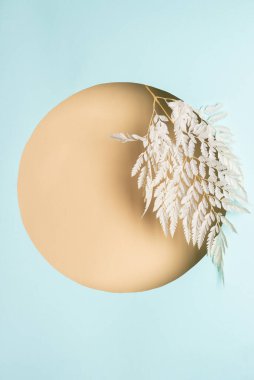 Daire şeklinde yuvarlak şekilli, yumuşak pastel renklerde ve daire şeklinde beyaz dallı yaratıcı bir yaz çerçevesi..