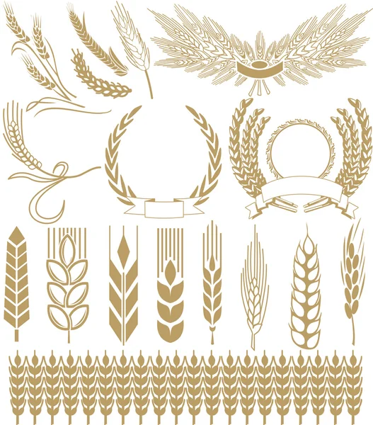 Wheat ears collection — Stock Vector