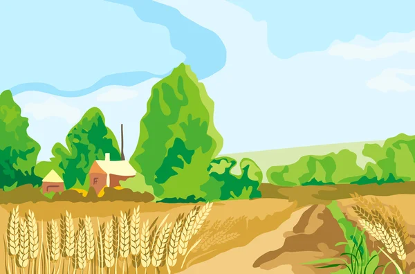 Campo de trigo — Vector de stock