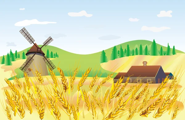 Wheat field — Stock Vector