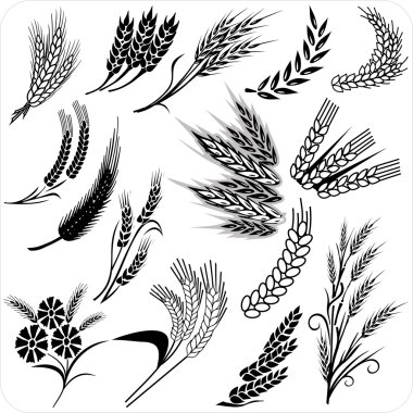 Download Grain Free Vector Eps Cdr Ai Svg Vector Illustration Graphic Art