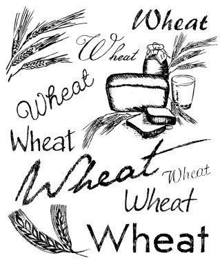 buğday kulak koleksiyonu