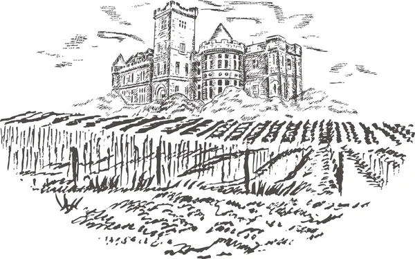 Wineyards - el çizmek