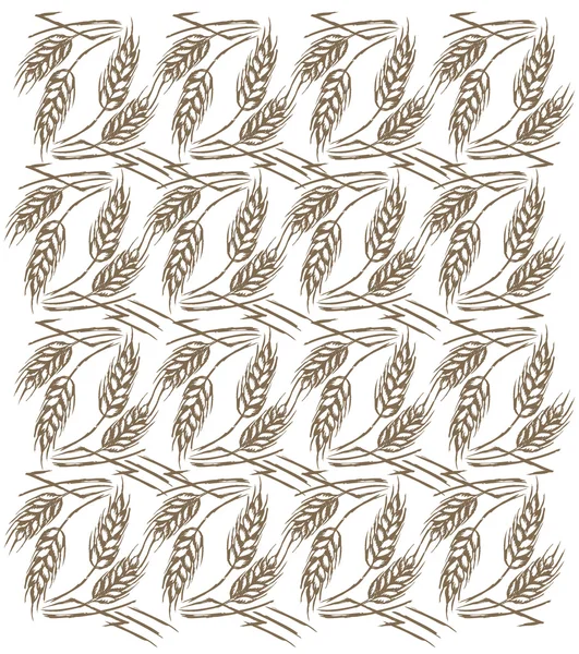 buğday kulak arka plan