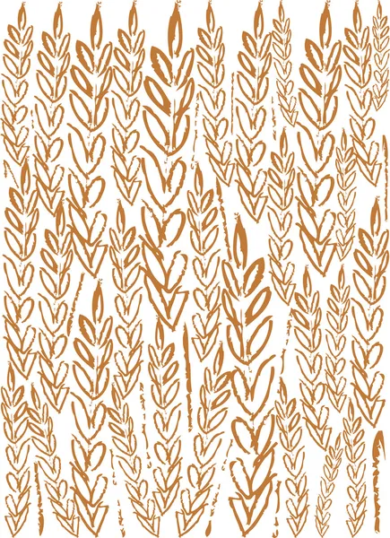 buğday kulak arka plan