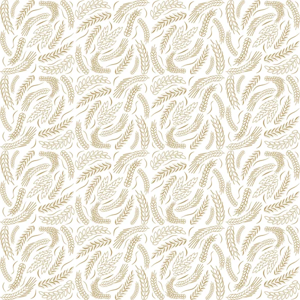 buğday kulak arka plan