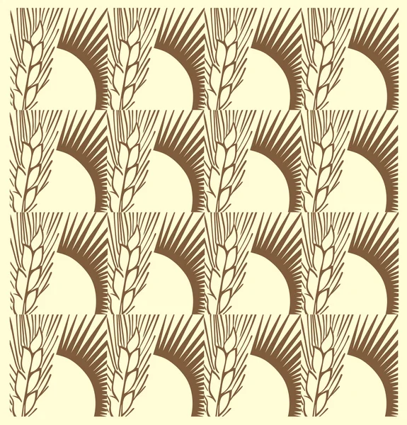 buğday kulak arka plan