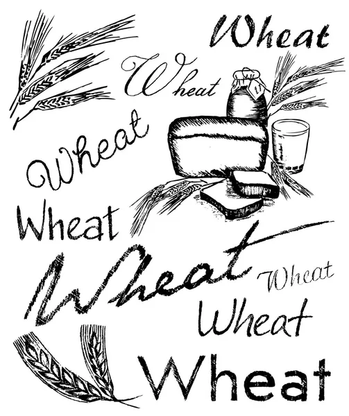 Collecte d'usure du blé — Image vectorielle