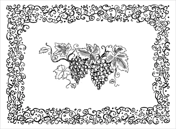 Druif frame — Stockvector