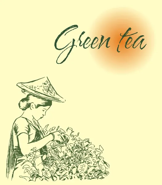 녹색과 검은색 차 라벨yeşil ve siyah çay etiketi