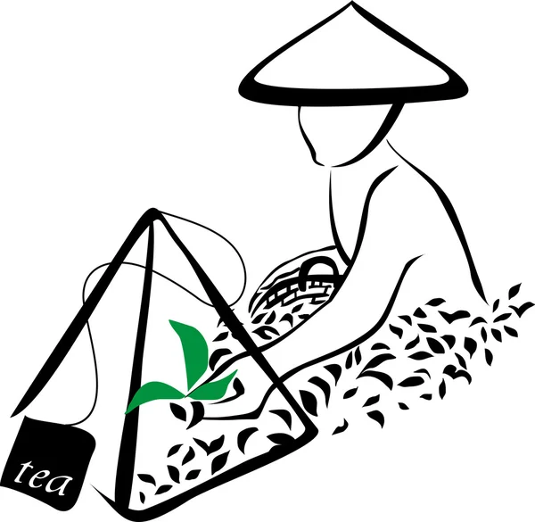 Señal de cosecha de té — Archivo Imágenes Vectoriales