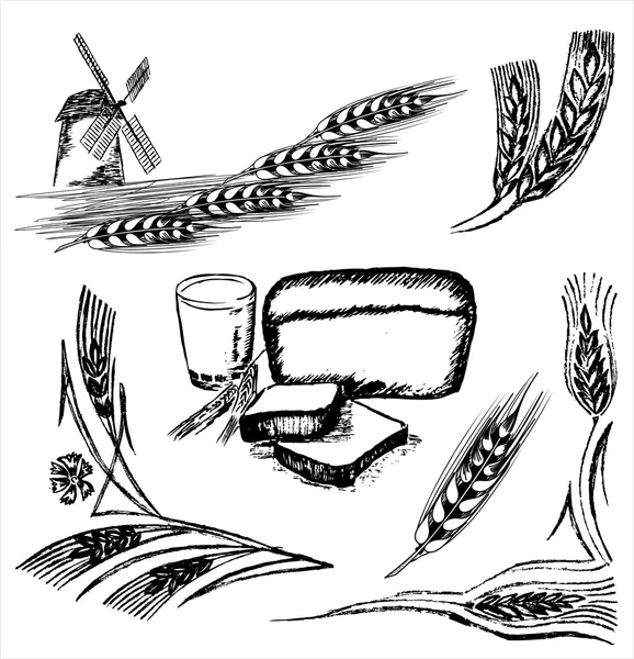 Weizenrahmen — Stockvektor