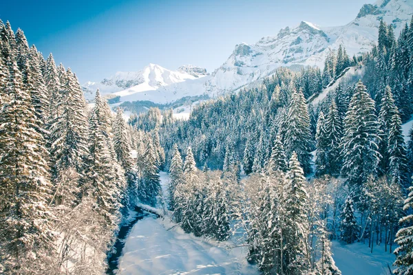 Indah melihat ke Alpen Swiss di waktu musim dingin — Stok Foto