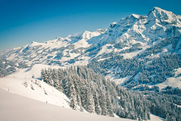 Hermosa vista a los Alpes suizos en invierno — Foto de Stock