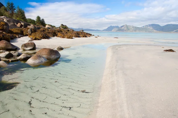 Costa sabbiosa con pietre sull'isola di Lofoten, Norvegia — Foto Stock