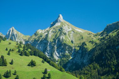zindlenspitz, schwyz, İsviçre