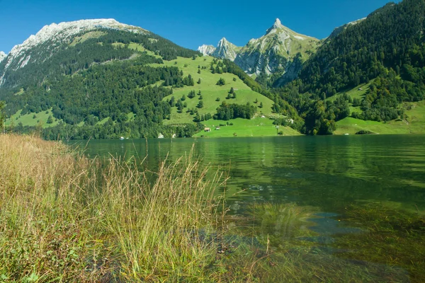 Zindlenspitz, schwyz, Švýcarsko — Stock fotografie