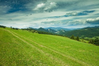 Pieniny Milli Parkı