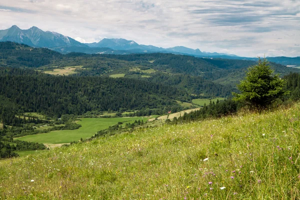 Slovak landscape — Stock Photo, Image