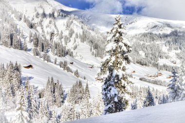 İsviçre Alpleri, nın oberland, adelboden kış için güzel görünüm