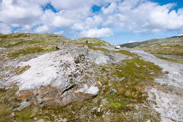 Krajobraz tundry w Norwegii — Zdjęcie stockowe