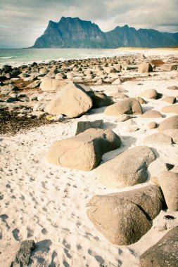 Sahil plaj Norveç, unstad, lofoten