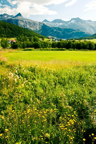 Norveç Köyü — Stok fotoğraf