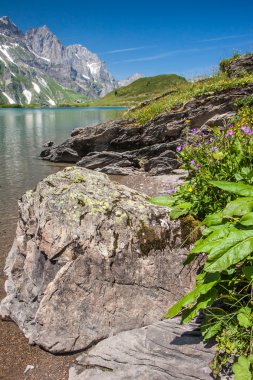 truebsee göl engelberg, Orta İsviçre İsviçre Alpleri'nde, Hiking
