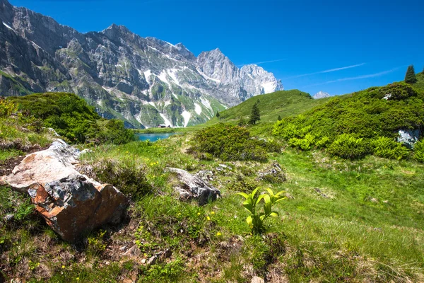 Caminhadas ao redor do lago Truebsee em Alpes Suíços, Engelberg, Suíça Central — Fotografia de Stock