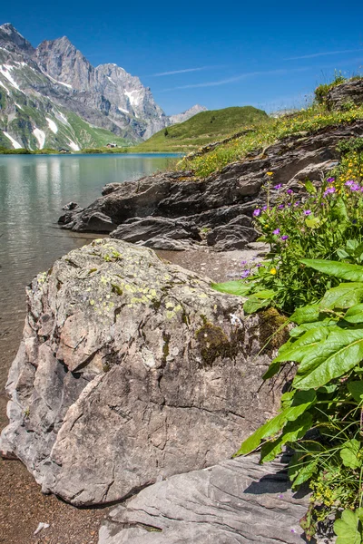 Pěší výlet kolem truebsee jezera ve švýcarských Alpách, engelberg, Švýcarsko střední — Stock fotografie