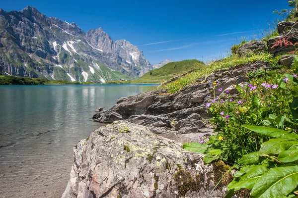 Wandelen rond truebsee meer in Zwitserse Alpen, engelberg, Centraal Zwitserland — Stockfoto