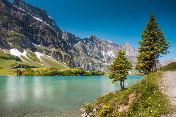 Wandelen rond truebsee meer in Zwitserse Alpen, engelberg, Centraal Zwitserland — Stockfoto