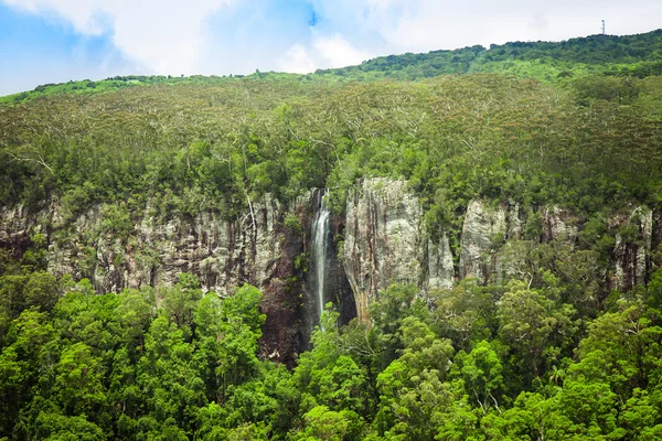 Waterfall in the subtropical rainforest, Springbrook national park, Australia — Stock Photo, Image