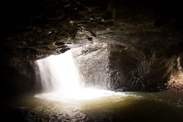 Cascata del ponte naturale nel Parco Nazionale di Springbrook, Gold Coast, Australia — Foto Stock