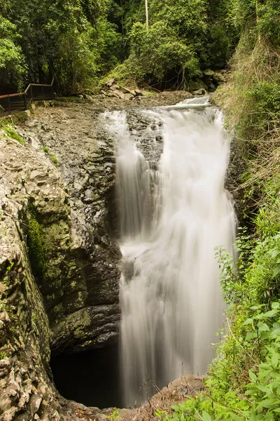 Cascata del ponte naturale nel Parco Nazionale di Springbrook, Gold Coast, Australia — Foto Stock